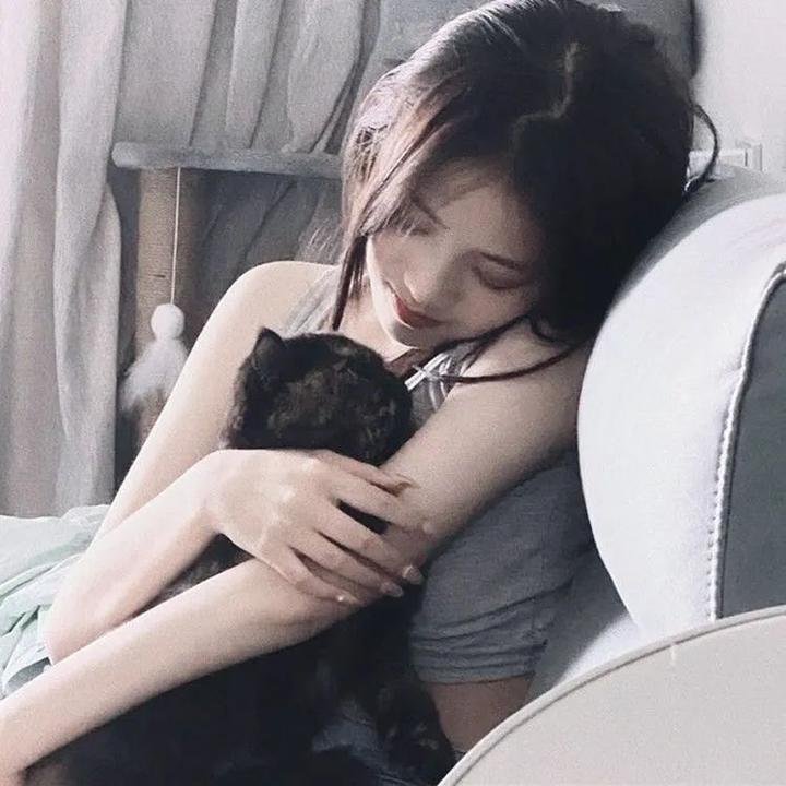 东京流浪汉 高清在线观看封面